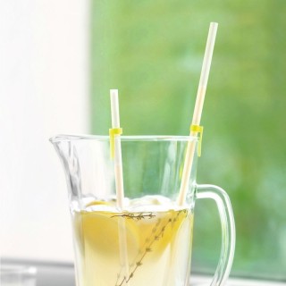 Lot de 2 pailles anti reflux