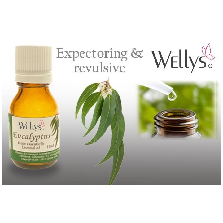 Huile essentielle d'eucalyptus - 15 ml
